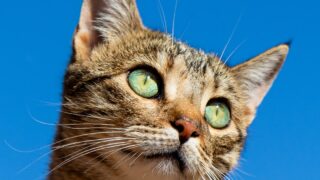 宮古島の澄んだ青い海